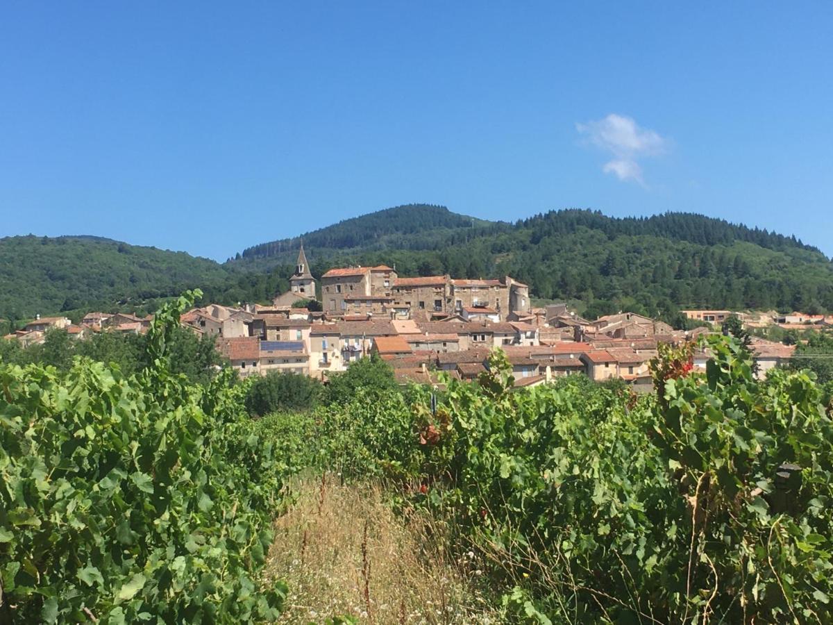 La Petite Adresse De Rose Maison De Vacances Entree Autonome Le Poujol-sur-Orb Eksteriør billede